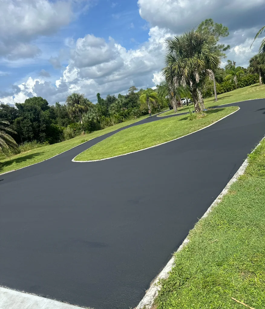 Freshly paved asphalt driveway in Cape Coral, Florida, surrounded by palm trees